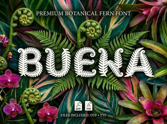 Buena Font: Elegant Display Type