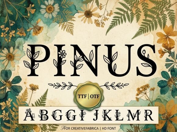 Pinus Font for Web Design